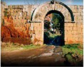 /album/consigli-per-i-visitatori/tuscia-458-1-jpg1/